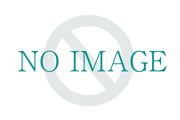 noimage